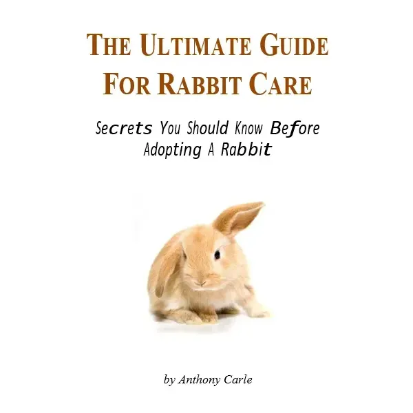 The Ultimate Guide for Rabbit Care