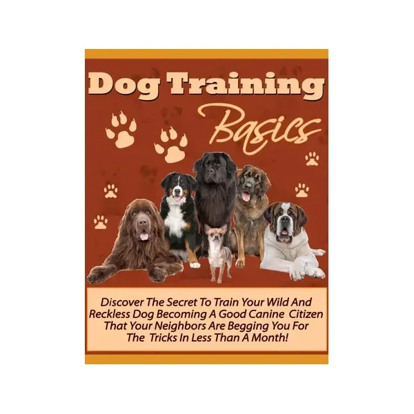 Dog Training Basics